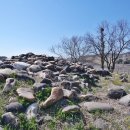 연천삼곶리돌무지무덤 이미지