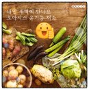 오아시스 홀딩스 주식회사 이미지