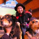 수필농장 이미지