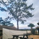 캠핑트리펜션 이미지