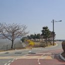 씨사이드파크 테니스장 화장실 네이버블로그