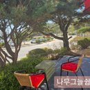 The 산수유 이미지