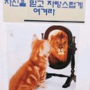 돈워리비해피