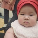 한나어린이집 | [내돈내산] 짐보리 잠실점 / 늦은 후기, 기록용