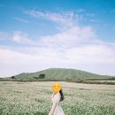 더심플원 | 제주도 웨딩스냅 후기(더 심플원, THE SIMPLE ONE)