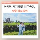 동문목장 | 제주 아기랑 갈만한 곳 추천｜공항 근처 무료 23개월 아침미소 목장 + 체험 후기