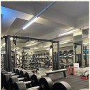 레몬핏휘트니스 이미지