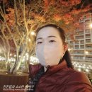 [강원 홍천] 소노펫/소노벨 비발디파크 지하 놀거리 및 단풍정원 포토존