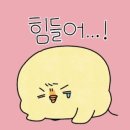 마이트피트니스 이미지