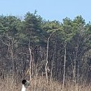 1/n을 한다고 해도... 이미지