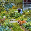 타샤의정원 이미지