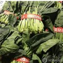 바미메디칼 이미지