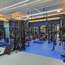 한스바디밸런스 | 강동구청 헬스장, 성내동 프리미엄 PT샵 스웨트원(SWEAT-ONE)] 바디챌린지 100일의 도전! 1차 평가 후기!