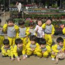 샛별화원