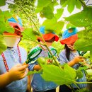 동영유치원 이미지