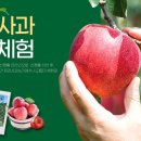 바람개비사과농장