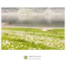 호숫가의 풍경 이미지