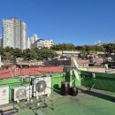 중앙동256 이미지