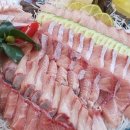 정자참가자미 이미지