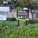 괴목민박 이미지