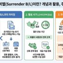 서렌더비엘(Surrender B/L) 완벽 가이드! 해외수출 시 꼭 알아야 할 핵심 정보