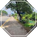 하남시토지매매,하남시농지매매,하남시부동산 2474㎡(약 748평) 59억 매매/써브공인중개사 이미지