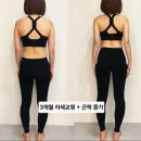 MUSCLE GYM(머슬짐) | 시흥능곡 헬스 1년 등록시 PT 10회가 무료! 머슬비치짐 헬스장 크리스마스 파격 이벤트!