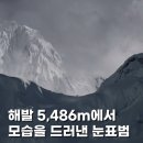 해발 5,486m에서 포착된 '히말라야의 유령', 눈표범 이미지
