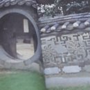 담 Daum카페