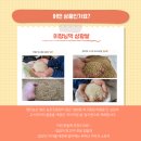 홍동농장2 이미지