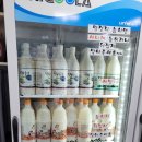 강원도 영월서부시장 [메밀전병, 영월 막걸리]