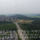 향남택지지구 전지역 이미지