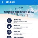 밍크플라이