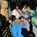 둥이목장 이미지