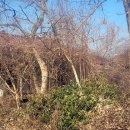 대변마을회관 이미지