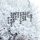 함박눈