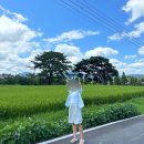 UR(포항시)-[동해안로]-상-2 | 경주 • 포항 2 🗿 가봉반과, 전촌용굴, 감포회센터, 블루밍카라반