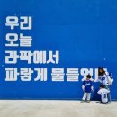 와룡농장 | 5/4~5/11 주간일기