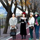 송정동-11 이미지