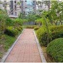 갤럭시부동산중개 이미지