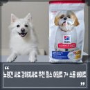 힐스펫뉴트리션코리아(유) | 노령견 사료 고민! 강아지사료 추천 힐스 어덜트 7+ 스몰바이트 액티브바이옴+ 멀티베네핏