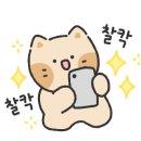 청년고기장수삼척점 이미지