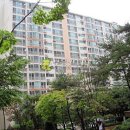 늘푸른수지 이미지