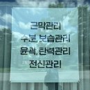풍천풍서초등학교 | 경북도청 마사지 내돈내산 추천 후기 : 순수에스테틱