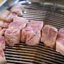 모슬포경로당 | 육질짱이였던 제주도 모슬포 맛집 돈고팡산방산점