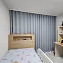 금산느티나무 이미지