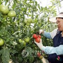 강금자농장 연합뉴스
