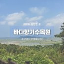 [후기] 대부도 어디 갈만한 데 없어요? 여기 가세요, 바다향기수목원, 무려 무료입장