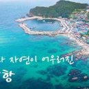 갈남항 Daum카페