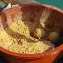 훼밀리호 이미지